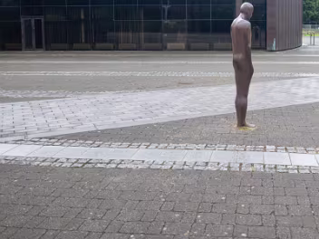 KNOWN AS BROWN THOMAS BY STUDENTS On the University of Limerick (UL) campus, spanning the River Shannon, stands a significant piece of public art by the...