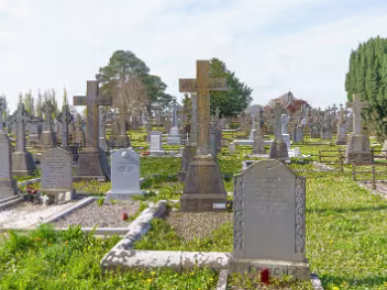 MORE THAN 70 THOUSAND Mount Saint Lawrence Cemetery in Limerick holds a prominent memorial to Patrick Sarsfield, a key figure in Irish...
