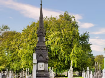 MEMORIAL TO THREE PRIESTS Discover the story of the Shanahan brothers, three 19th-century Irish priests commemorated by an octagonal spire...