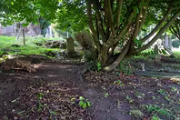 ST NAHI'S OLD CHURCH [LOCATED IN DUNDRUM VILLAGE]-248422-1