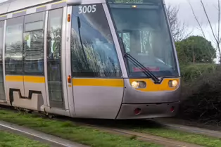 EXPLORING A UNIQUE SECTION OF THE LUAS RED LINE [THE GRASS SECTION BETWEEN THE SUIR ROAD STOP AND THE RIALTO STOP]-247796-1
