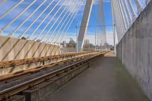 DUNDRUM LUAS TRAM STOP AND THE WILLIAM DARGAN SUSPENSION BRIDGE [4 MARCH 2025]-248364-1