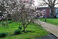 PUBLIC PARKS AND GARDENS