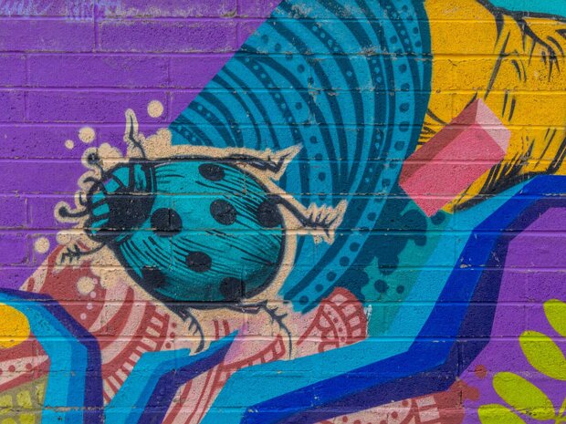 MURAL IN HERBERT PARK 7 FEBRUARY 2025 "Herbert Habitat," a vibrant piece of street art, graces the walls of The Hive in Herbert Park, Dublin 4. Commissioned...