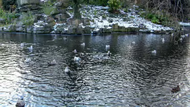 THE GROUND WAS COVERED IN SNOW WHEN I VISITED ST STEPHEN'S GREEN IN NOVEMBER 27 2010 [LEGACY PHOTO COLLECTIONS]-244846-1