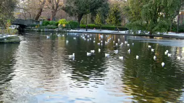 THE GROUND WAS COVERED IN SNOW WHEN I VISITED ST STEPHEN'S GREEN IN NOVEMBER 27 2010 [LEGACY PHOTO COLLECTIONS]-244890-1