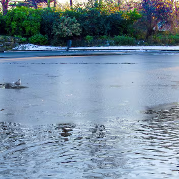 SNOW COVERED On November 27, 2010, I ventured into St. Stephen's Green, my camera capturing the scene in stark black and white. The...