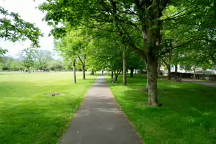 THE PEOPLES PARK IN WATERFORD [26 MAY 2016]-221067-1