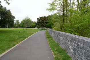 THE PEOPLES PARK IN WATERFORD [26 MAY 2016]-221084-1