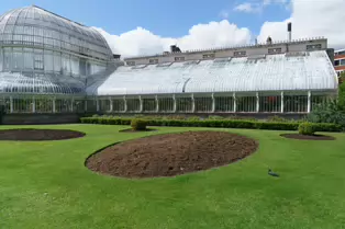 THE MAIN GLASSHOUSE AT BELFAST BOTANIC GARDENS [PHOTOGRAPHED MAY 2017]-235407-1 THE MAIN GLASSHOUSE