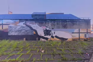 DERELICT SITE NEAR THE RAMADA ENCORE HOTEL [GREAT PATRICK STREET AREA MAY 2017]-235560-1 DERELICT SITE