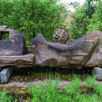 BOTANIC GARDENS In 2017, the Botanic Gardens in Belfast were a vibrant and popular destination, offering visitors a mix of historical...