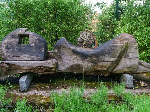 BOTANIC GARDENS In 2017, the Botanic Gardens in Belfast were a vibrant and popular destination, offering visitors a mix of historical...