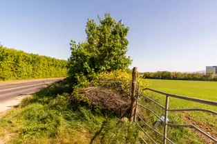 EXPLORING DUBBER CROSS AREA AND NEARBY [THE DAY THAT I GOT LOST]-244219-1