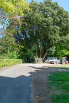 THE KILKENNY CASTLE ESTATE [THERE IS NO REAL NEED TO PAY TO EXPLORE THE CASTLE]-245341-1