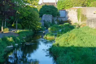 THE BLACK CAT AND DAVID CAMPION'S PUB AND NEARBY [BLACK MILLS STREET IN KILKENNY]-245466-1