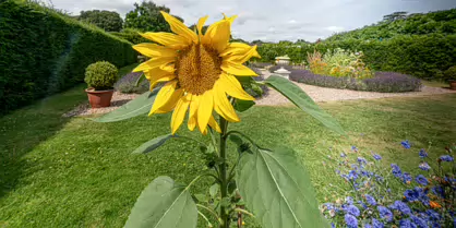 THE CLOCKTOWER GARDENS [ST. ANNE'S PARK IN RAHENY 1 AUGUST 2019]-247544-1