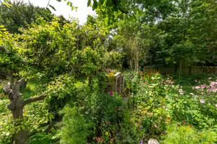 THE CLOCKTOWER GARDENS [ST. ANNE'S PARK IN RAHENY 1 AUGUST 2019]-247552-1