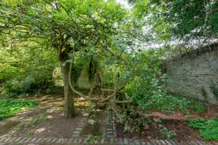 THE CLOCKTOWER GARDENS [ST. ANNE'S PARK IN RAHENY 1 AUGUST 2019]-247555-1