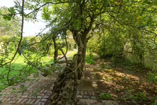 THE CLOCKTOWER GARDENS [ST. ANNE'S PARK IN RAHENY 1 AUGUST 2019]-247556-1
