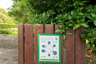 THE CLOCKTOWER GARDENS [ST. ANNE'S PARK IN RAHENY 1 AUGUST 2019]-247559-1