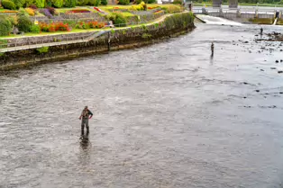 THE SALMON WEIR IN GALWAY [PHOTOGRAPHED JULY 2019]-247479-1