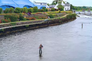 THE SALMON WEIR IN GALWAY [PHOTOGRAPHED JULY 2019]-247480-1