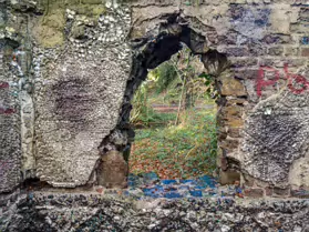 A DERELICT SHELL HOUSE IN BUSHY PARK [IT IS NOT A FOLLY]-247647-1