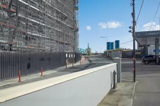 HAMILTON VIEW AND NEARBY AT HALLOWEEN 2022[8TH LOCK ROYAL CANAL PARK]-247616-1