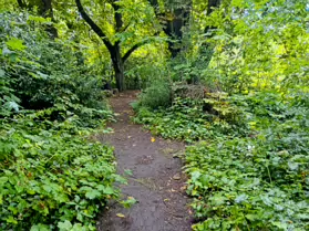IVEAGH GARDENS [ONCE PRIVATELY OWNED BUT NOW OPEN TO THE PUBLIC]-244021-1