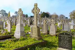 A FEW OF THE MANY CELTIC CROSSES IN MOUNT ST LAWRENCE CEMETERY [LIMERICK APRIL 2022]-244663-1