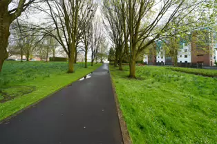 THE PEOPLE'S PARK IN LIMERICK [LOST ITS BEEBEE TREE IN 2013]-244610-1