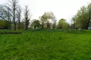 THE PEOPLE'S PARK IN LIMERICK [LOST ITS BEEBEE TREE IN 2013]-244611-1