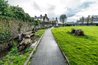 THE PEOPLE'S PARK IN LIMERICK [LOST ITS BEEBEE TREE IN 2013]-244621-1