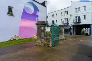 STRENGTH IN FRAGILITY A MURAL BY EMIC [WHERE CROSBIE ROW MEETS NICHOLAS STREET IN LIMERICK]-244676-1