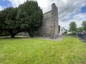 MAYNOOTH CASTLE [I WAS NOT ALLOWED TO USE MY CAMERA BUT MY iPHONE WAS OK]-243889-1