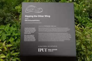DIPPING THE OTHER WING 2024 BY EILIS O'CONNELL R.H.A. [I USED A ZEISS BATIS 25MM LENS]-249942-1