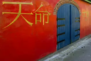 THE DOOR TO CHINA IS A MURAL NOT A FIVE STAR RESTAURANT [ON LANE BEHIND HOUSES ON MOYNE ROAD]-249258-1
