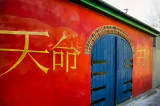THE DOOR TO CHINA IS A MURAL NOT A FIVE STAR RESTAURANT [ON LANE BEHIND HOUSES ON MOYNE ROAD]-249259-1