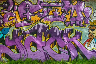 A LINEAR GALLERY OF STREET ART [ON FERRY WALK LEADING TO THE SHAKEY BRIDGE]-247703-1