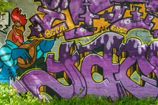 A LINEAR GALLERY OF STREET ART [ON FERRY WALK LEADING TO THE SHAKEY BRIDGE]-247704-1