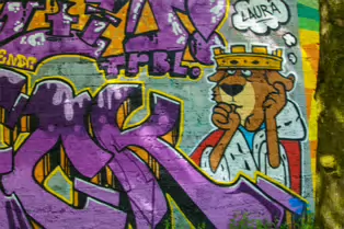 A LINEAR GALLERY OF STREET ART [ON FERRY WALK LEADING TO THE SHAKEY BRIDGE]-247705-1