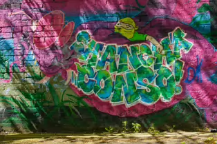 A LINEAR GALLERY OF STREET ART [ON FERRY WALK LEADING TO THE SHAKEY BRIDGE]-247706-1