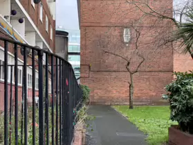 KEVIN STREET IS BEING TRANSFORMED AT A RAPID PACE [SINCE THE COLLEGE HAS BEEN DEMOLISHED]-249893-1