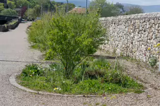 RAVENSWELL ROAD IN BRAY COUNTY WICKLOW [A LOT OF CHANGE IN THIS AREA]-250868-1