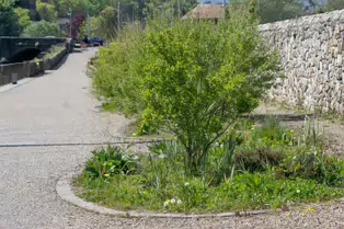 RAVENSWELL ROAD IN BRAY COUNTY WICKLOW [A LOT OF CHANGE IN THIS AREA]-250869-1