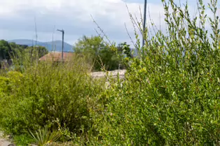 RAVENSWELL ROAD IN BRAY COUNTY WICKLOW [A LOT OF CHANGE IN THIS AREA]-250870-1