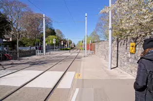 MILLTOWN LUAS TRAM STOP [I GOT OFF AT THE WRONG STOP]-249265-1