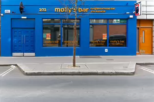 MOLLY'S BAR [101-103 FRANCIS STREET IN DUBLIN CITY]-249569-1