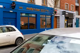 MOLLY'S BAR [101-103 FRANCIS STREET IN DUBLIN CITY]-249571-1